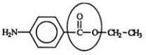 <strong>Benzocaine is from a family of chemicals that are good local anesthetics. Identify the functional group circled. </strong> A)Aldehyde B)Ketone C)Ester D)Carboxylic acid E)Carbonyl
