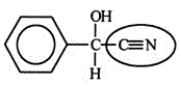 <strong>The millipede ejects the compound shown below to protect itself from its enemies. Identify the functional group circled. </strong> A)Nitrile B)Alcohol C)Amide D)Amine E)Nitro
