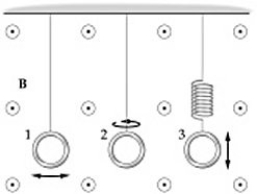 <strong>Faraday's law: The three loops of wire shown in the figure are all subject to the same uniform magnetic field that does not vary with time. Loop 1 oscillates back and forth as the bob in a pendulum, loop 2 rotates about a vertical axis, and loop 3 oscillates up and down at the end of a spring. Which loop, or loops, will have an emf induced in them? </strong> A) loop 1 only B) loop 2 only C) loop 3 only D) loops 1 and 2 E) loops 2 and 3