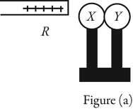 <strong>Induction: X and Y are two uncharged metal spheres on insulating stands, and are in contact with each other. A positively charged rod R is brought close to X as shown in Figure (a). Sphere Y is now moved away from X, as in Figure (b). What are the final charge states of X and Y?</strong> A) Both X and Y are neutral. B) X is positive and Y is neutral. C) X is neutral and Y is positive. D) X is negative and Y is positive. E) Both X and Y are negative.