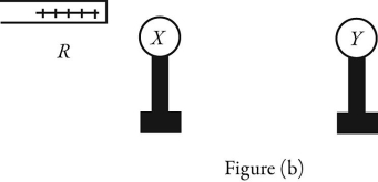 <strong>Induction: X and Y are two uncharged metal spheres on insulating stands, and are in contact with each other. A positively charged rod R is brought close to X as shown in Figure (a). Sphere Y is now moved away from X, as in Figure (b). What are the final charge states of X and Y?</strong> A) Both X and Y are neutral. B) X is positive and Y is neutral. C) X is neutral and Y is positive. D) X is negative and Y is positive. E) Both X and Y are negative.