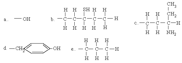 Which of the groups participates exclusively in hydrophobic interactions?
