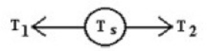 <strong>A rope is connected to a spring scale on the left and exerts a force T<sub>1</sub>. Another rope is connected to the scale on the right and exerts a force T<sub>2.</sub> The scale shows a reading of T<sub>s </sub>= 120 N. The values of T<sub>1</sub> and T<sub>2</sub> are </strong> A) T<sub>1</sub> = 80 N, and T<sub>2</sub> = 80 N. B) T<sub>1</sub> = 120 N, and T<sub>2</sub> = 120 N. C) T<sub>1</sub> = 240 N, and T<sub>2</sub> = 240 N. D) T<sub>1</sub> = 80 N, and T<sub>2</sub> = 120 N.
