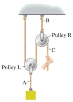 <strong>A worker lifts a heavy load using a two-pulley system as in the figure. If the tension in the rope segment labeled A is 1450 N, what are the weight of the load and the force that the worker exerts on the rope, respectively? </strong> A) 363 N, 725 N B) 725 N, 363 N C) 1450 N, 725 N D) 1450 N, 1450 N E) Insufficient information is given to answer this question.