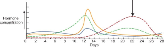 <strong>The image below indicates the changes in concentration of female reproductive hormones over the course of a 28 day cycle. Identify the hormone that is indicated by the arrow. </strong> A) follicle-stimulating hormone B) progesterone C) gonadotropin-releasing hormone D) estrogens E) luteinizing hormone