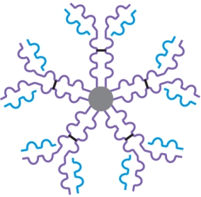 <strong>To which class of antibodies does the structure in the image belong? </strong> A) immunoglobulin A B) immunoglobulin M C) immunoglobulin G D) immunoglobulin E E) immunoglobulin D