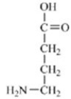 <strong>Which of the amino acids is a building block for proteins?</strong> A) B) C) D) E)