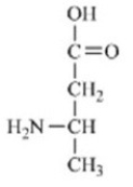 <strong>Which of the amino acids is a building block for proteins?</strong> A) B) C) D) E)