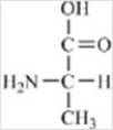 <strong>Which of the following is not a building block for proteins?</strong> A) B) C) D) E)