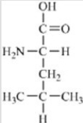 <strong>Which of the following is not a building block for proteins?</strong> A) B) C) D) E)