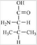 <strong>Which of the following is not a building block for proteins?</strong> A) B) C) D) E)