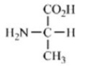 <strong>Which of the amino acids contains an acidic side chain?</strong> A) B) C) D) E)