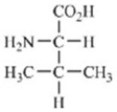 <strong>Which of the amino acids contains an acidic side chain?</strong> A) B) C) D) E)