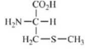 <strong>Which of the amino acids contains an acidic side chain?</strong> A) B) C) D) E)