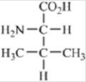 <strong>Which of the amino acids contains a basic side chain?</strong> A) B) C) D) E)