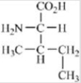 <strong>Which of the amino acids contains a basic side chain?</strong> A) B) C) D) E)