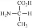 <strong>Which of the amino acids contains a basic side chain?</strong> A) B) C) D) E)