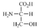 <strong>Which amino acid contains a polar side chain?</strong> A) B) C) D) E)