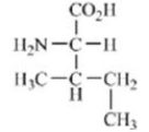 <strong>Which amino acid contains a polar side chain?</strong> A) B) C) D) E)