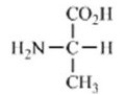 <strong>Which amino acid contains a polar side chain?</strong> A) B) C) D) E)