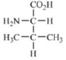 <strong>Which amino acid contains a polar side chain?</strong> A) B) C) D) E)