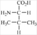 <strong>Which amino acid contains a nonpolar side chain?</strong> A) B) C) D) E)