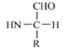 <strong>Which of these forms represents how an amino acid exists under physiological conditions?</strong> A) B) C) D) E)