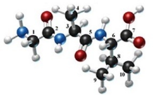 <strong>The following molecule is formed by three amino acids: Identify the alpha carbons using the numbers as shown.</strong> A)1, 2 B)3, 5, 8 C)1, 3, 5 D)2, 3, 8 E)1, 3, 6