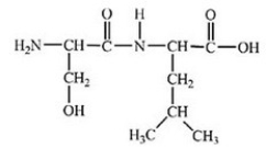 <strong>How many different amino acids are obtained by hydrolyzing all the peptide bonds in the following polypeptide? </strong> A)1 B)2 C)3 D)4 E)5