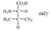 <strong>Which amino acids are obtained by hydrolyzing all the peptide bonds in the following polypeptide? </strong> A) B) C) D) E)
