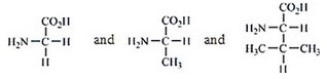 <strong>Which amino acids are obtained by hydrolyzing all the peptide bonds in the following polypeptide? </strong> A) B) C) D) E)