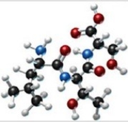 <strong>Which amino acids are obtained by hydrolyzing all the peptide bonds in the following polypeptide? </strong> A) B) C) D) E)