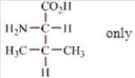 <strong>Which amino acids are obtained by hydrolyzing all the peptide bonds in the following polypeptide? </strong> A) B) C) D) E)