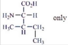 <strong>Which amino acids are obtained by hydrolyzing all the peptide bonds in the following polypeptide? </strong> A) B) C) D) E)