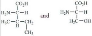 <strong>Which amino acids are obtained by hydrolyzing all the peptide bonds in the following polypeptide? </strong> A) B) C) D) E)