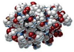<strong>Which type of protein structure is illustrated by this image of bacterial protein G? </strong> A)primary B)secondary C)tertiary D)quaternary E)helical