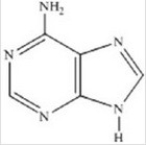 <strong>Which of the following structures is the sugar found in RNA?</strong> A) B) C) D) E)