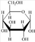<strong>Which of the following structures is the sugar found in RNA?</strong> A) B) C) D) E)
