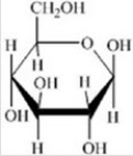 <strong>Which of the following structures is the sugar found in RNA?</strong> A) B) C) D) E)
