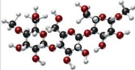 <strong>Identify the type of carbohydrate shown in this model. </strong> A)monosaccharide B)disaccharide C)polysaccharide D)pentose E)cellulose