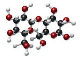 <strong>Identify the type of carbohydrate shown in this model. </strong> A)monosaccharide B)disaccharide C)polysaccharide D)pentose E)cellulose