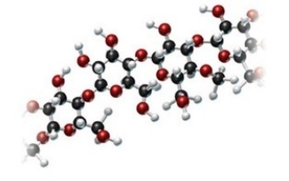<strong>Examine the following model of a portion of a carbohydrate and classify the molecule. </strong> A)monosaccharide B)disaccharide C)polysaccharide D)pentose E)sucrose