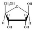 <strong>Glucose is a hexose sugar with the formula C<sub>6</sub>H<sub>12</sub>O<sub>6</sub>. Which of the following is α-glucose?</strong> A) B) C) D) E)