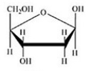 <strong>Glucose is a hexose sugar with the formula C<sub>6</sub>H<sub>12</sub>O<sub>6</sub>. Which of the following is α-glucose?</strong> A) B) C) D) E)
