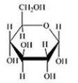 <strong>Glucose is a hexose sugar with the formula C<sub>6</sub>H<sub>12</sub>O<sub>6</sub>. Which of the following is α-glucose?</strong> A) B) C) D) E)