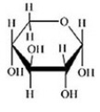<strong>Glucose is a hexose sugar with the formula C<sub>6</sub>H<sub>12</sub>O<sub>6</sub>. Which of the following is α-glucose?</strong> A) B) C) D) E)