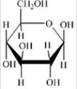 <strong>Glucose is a hexose sugar with the formula C<sub>6</sub>H<sub>12</sub>O<sub>6</sub>. Which of the following is β-glucose?</strong> A) B) C) D) E)