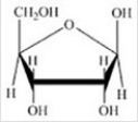 <strong>Glucose is a hexose sugar with the formula C<sub>6</sub>H<sub>12</sub>O<sub>6</sub>. Which of the following is β-glucose?</strong> A) B) C) D) E)