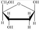 <strong>Glucose is a hexose sugar with the formula C<sub>6</sub>H<sub>12</sub>O<sub>6</sub>. Which of the following is β-glucose?</strong> A) B) C) D) E)