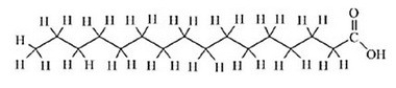 <strong>Which of the following best describes this molecule? </strong> A)saturated fatty acid B)cis unsaturated fatty acid C)trans unsaturated fatty acid D)nucleic acid E)protein